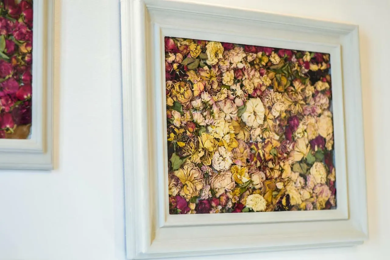 Oltrarno'S Sweet Rose - Free Parking! Apartment Florence